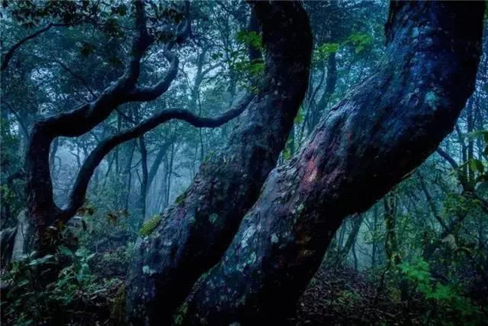 【夢想聚團隊 團隊創(chuàng)輝煌】西微雅團建活動——長白山之旅(圖13) 【夢想聚團隊 團隊創(chuàng)輝煌】西微雅團建活動——長白山之旅(圖13)