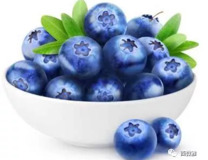 珍貴的果脯-藍(lán)莓干(圖4) 珍貴的果脯-藍(lán)莓干(圖4)