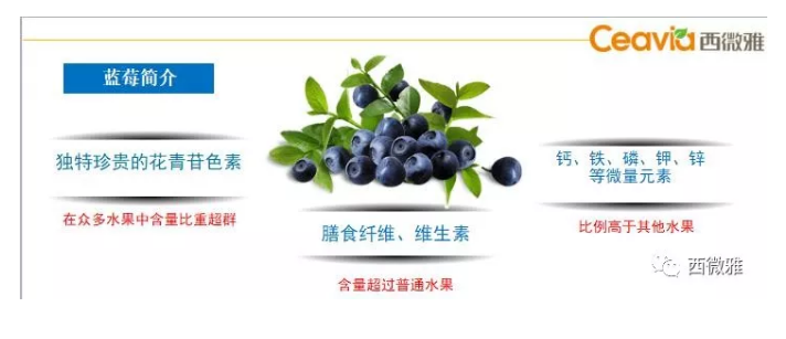 珍貴的果脯-藍(lán)莓干(圖9) 珍貴的果脯-藍(lán)莓干(圖9)